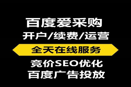 百度推广与SEO结合案例：提升网站排名的技巧